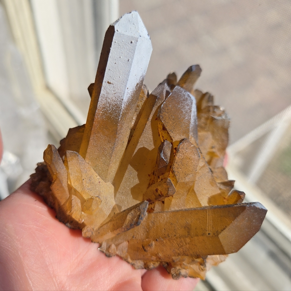 Solaris Quartz Cluster - Picture 7 of 10